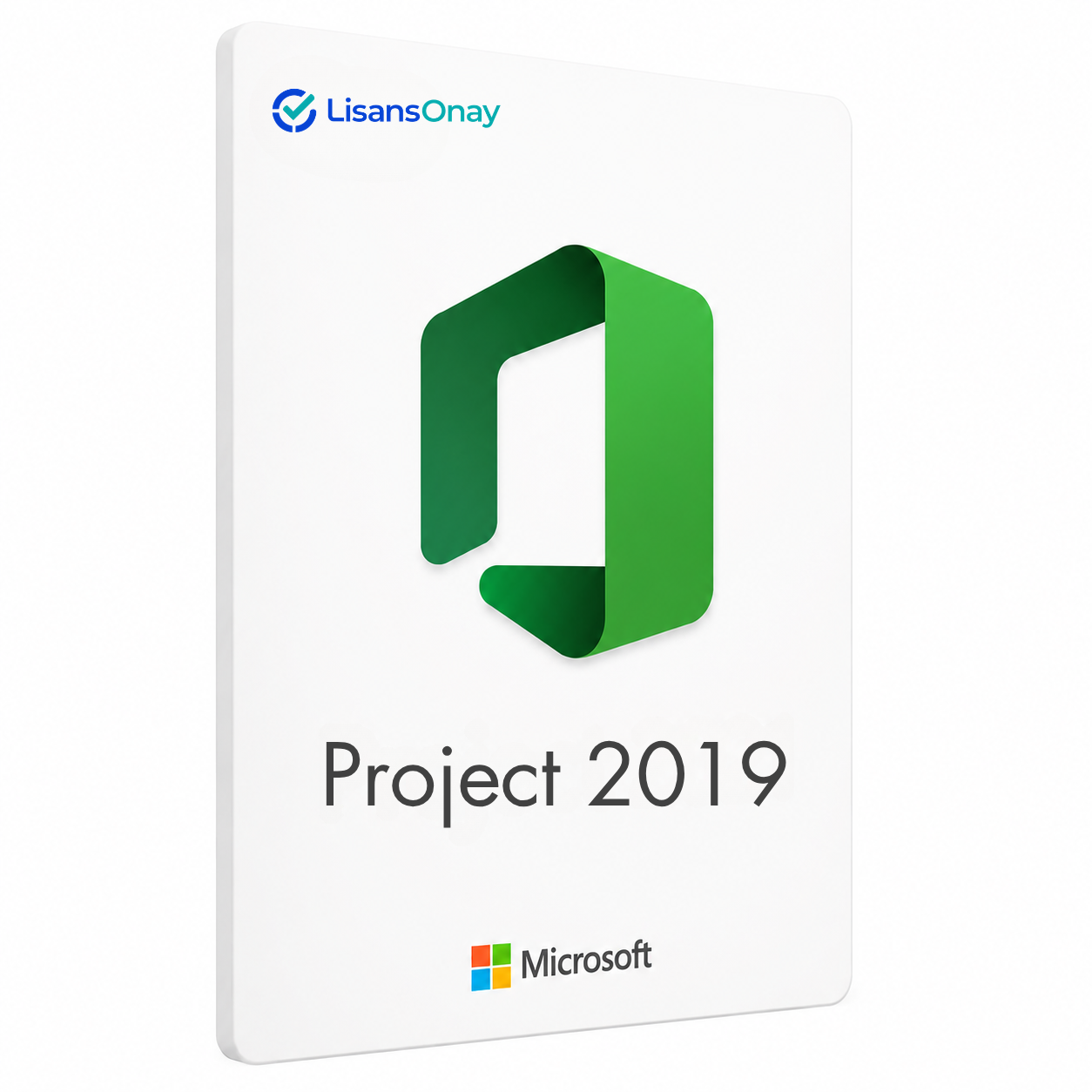 Project 2019